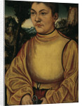 Portrait of a Prince of Anhalt (Portrait of Prince John IV of Anhalt-Zerbst, after 1513 by Anonymous
