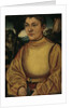 Portrait of a Prince of Anhalt (Portrait of Prince John IV of Anhalt-Zerbst, after 1513 by Anonymous