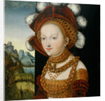 A finely dressed young Lady, ca 1530 by Anonymous