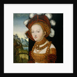 A finely dressed young Lady, ca 1530 by Anonymous