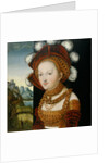 A finely dressed young Lady, ca 1530 by Anonymous