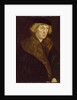 Portrait of Count Palatine Philipp of the Rhein, ca 1522 by Anonymous