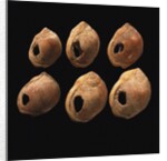 Perforated shell beads from Blombos Cave, South Africa. The oldest artifact of mankind, 70th millenn by Anonymous