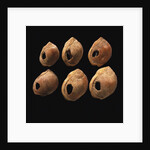 Perforated shell beads from Blombos Cave, South Africa. The oldest artifact of mankind, 70th millenn by Anonymous