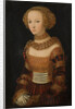 Portrait of a young woman. (Princess Emilie of Saxony?), ca 1537 by Anonymous
