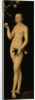 Eve, 1531 by Anonymous
