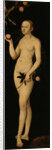 Eve, 1531 by Anonymous