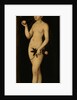 Eve, 1531 by Anonymous