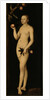 Eve, 1531 by Anonymous