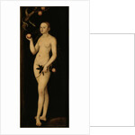 Eve, 1531 by Anonymous
