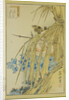 Winter Wren and WInter Peony, from the series Forty-eight Hawks Drawn from Life, 1859 by Anonymous