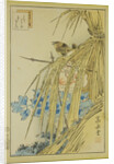 Winter Wren and WInter Peony, from the series Forty-eight Hawks Drawn from Life, 1859 by Anonymous