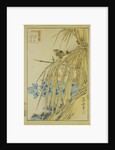 Winter Wren and WInter Peony, from the series Forty-eight Hawks Drawn from Life, 1859 by Anonymous