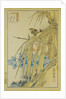 Winter Wren and WInter Peony, from the series Forty-eight Hawks Drawn from Life, 1859 by Anonymous