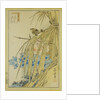 Winter Wren and WInter Peony, from the series Forty-eight Hawks Drawn from Life, 1859 by Anonymous