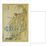 Winter Wren and WInter Peony, from the series Forty-eight Hawks Drawn from Life, 1859 by Anonymous