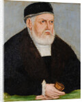 Portrait of Sigismund I of Poland, c. 1565 by Anonymous