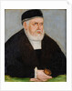 Portrait of Sigismund I of Poland, c. 1565 by Anonymous