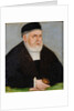 Portrait of Sigismund I of Poland, c. 1565 by Anonymous