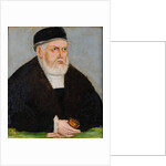 Portrait of Sigismund I of Poland, c. 1565 by Anonymous