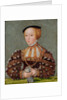 Portrait of Elizabeth of Austria, Queen of Poland, c. 1565 by Anonymous