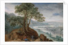 View of Linz, 1590s by Anonymous