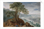 View of Linz, 1590s by Anonymous