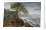 View of Linz, 1590s by Anonymous