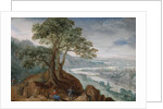 View of Linz, 1590s by Anonymous