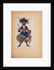 Costume design for the ballet Sleeping Beauty by P. Tchaikovsky, 1921 by Anonymous