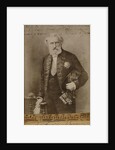 Portrait of the composer Ambroise Thomas, 1890s by Anonymous