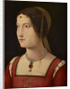 Portrait of a young Lady, c. 1500 by Anonymous