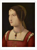 Portrait of a young Lady, c. 1500 by Anonymous