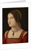 Portrait of a young Lady, c. 1500 by Anonymous