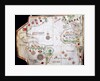 Nautical chart, 1558 by Anonymous