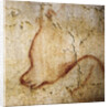 Painting in the Chauvet cave, 32,000-30,000 BC by Anonymous