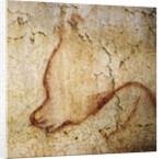 Painting in the Chauvet cave, 32,000-30,000 BC by Anonymous