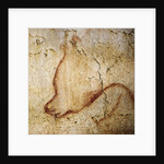 Painting in the Chauvet cave, 32,000-30,000 BC by Anonymous