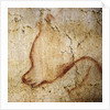 Painting in the Chauvet cave, 32,000-30,000 BC by Anonymous