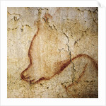 Painting in the Chauvet cave, 32,000-30,000 BC by Anonymous
