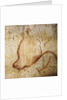 Painting in the Chauvet cave, 32,000-30,000 BC by Anonymous