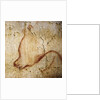 Painting in the Chauvet cave, 32,000-30,000 BC by Anonymous