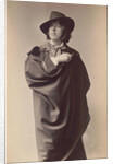Portrait of Oscar Wilde, 1882 by Anonymous