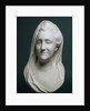 Portrait of Empress Catherine II, 1769 by Anonymous