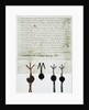 The edict of the Tsar Ivan IV the Terrible, 1497 by Anonymous