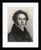 Portrait of the composer Vincenzo Bellini by Anonymous