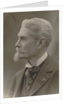 Portrait of the composer Charles-Wilfrid de Bériot, 1890 by Anonymous