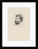 Portrait of the composer Georges Bizet, 1860s by Anonymous
