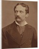 Portrait of the composer Arrigo Boito, 1910s by Anonymous