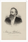 Portrait of the composer Johannes Brahms, 1870 by Anonymous